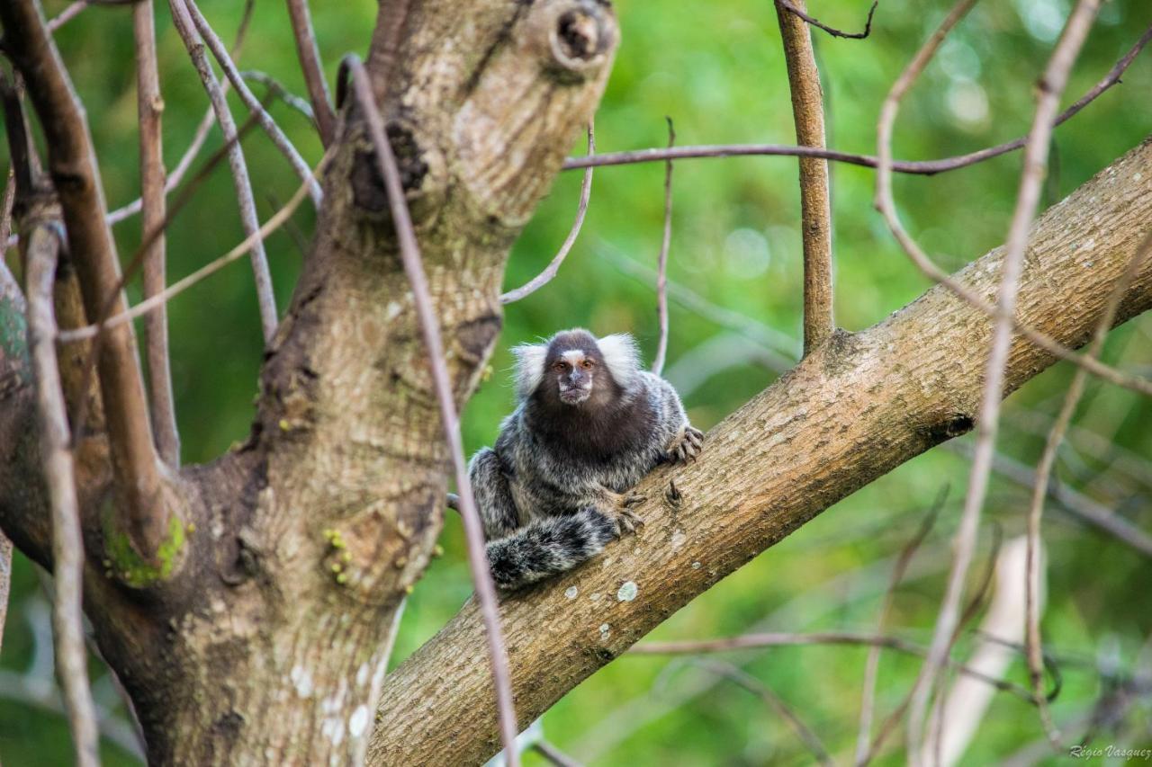 Pousada Morro Do Forte Araquari Dış mekan fotoğraf