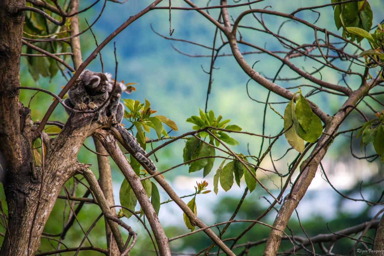 Pousada Morro Do Forte Araquari Dış mekan fotoğraf